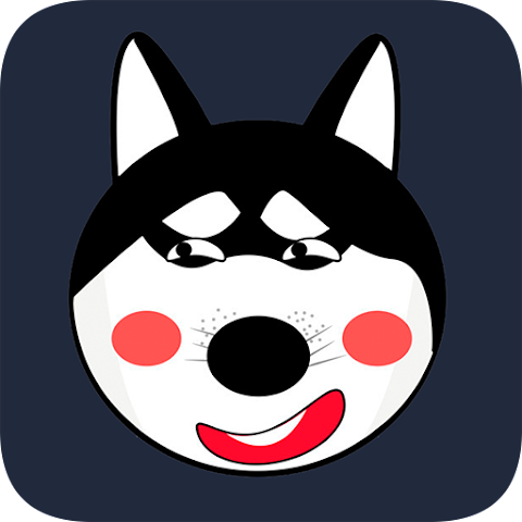 小哈vp n官网